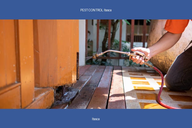 PEST CONTROL Itasca